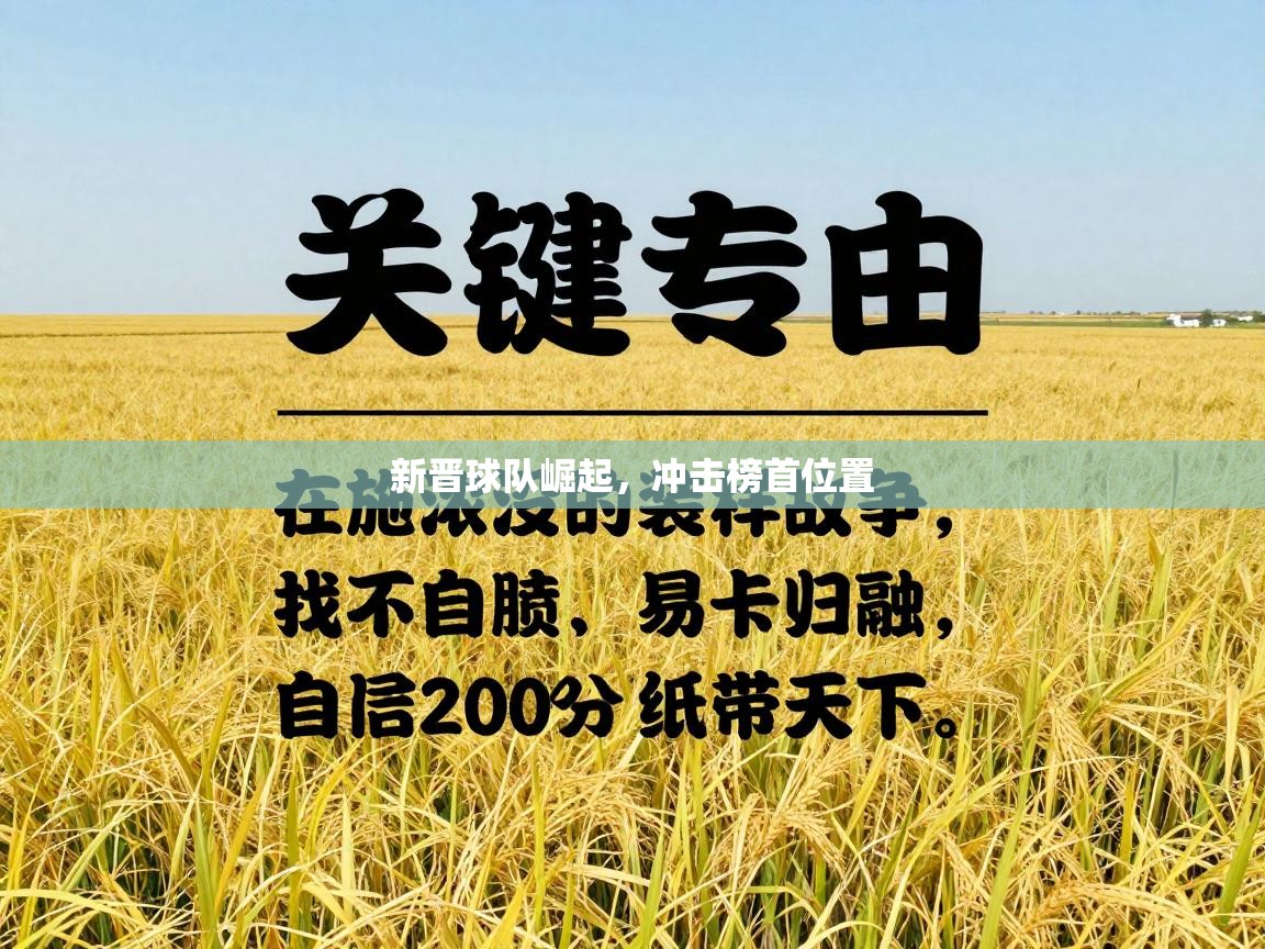 新晋球队崛起，冲击榜首位置