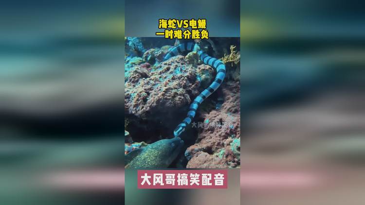 关于胜负难分：女足比赛站点千钧一发的信息